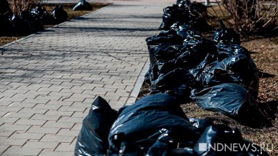 В Петербурге нашли человеческие останки в мусорных пакетах