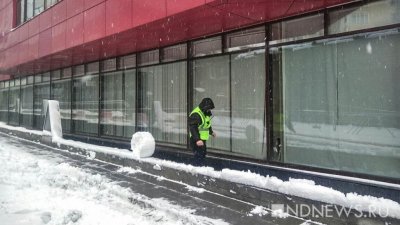 Ветер, снег и гололед: МЧС объявило штормовое предупреждение